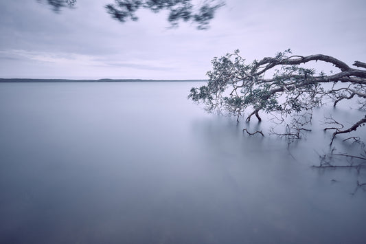 LAKE WEYBA