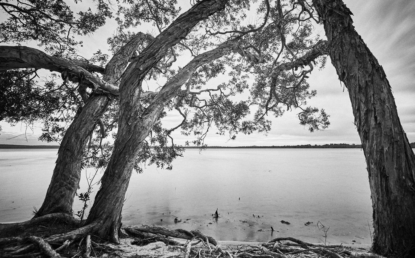 LAKE WEYBA SHORE