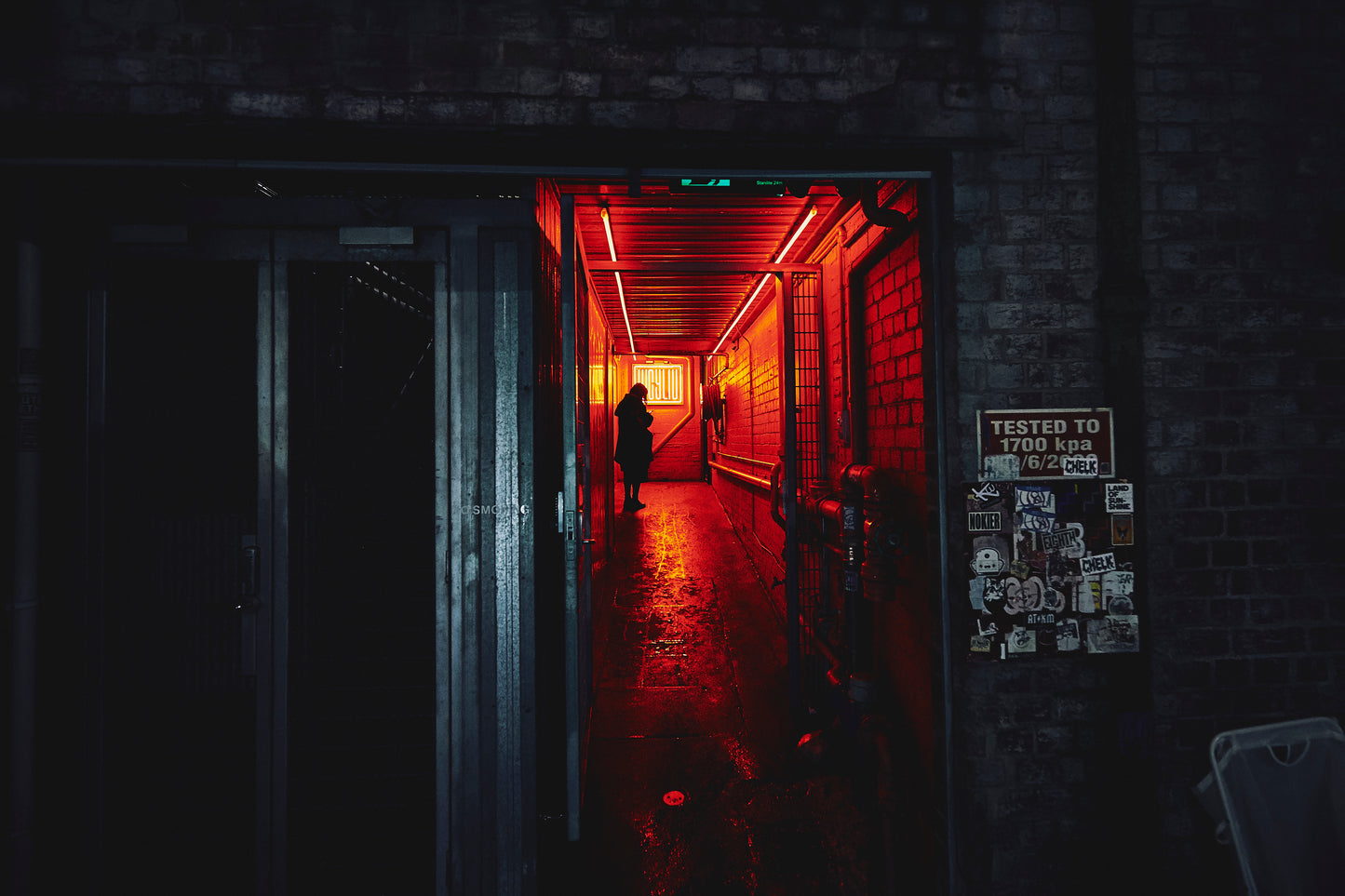 MELBOURNE LANEWAYS (VI)