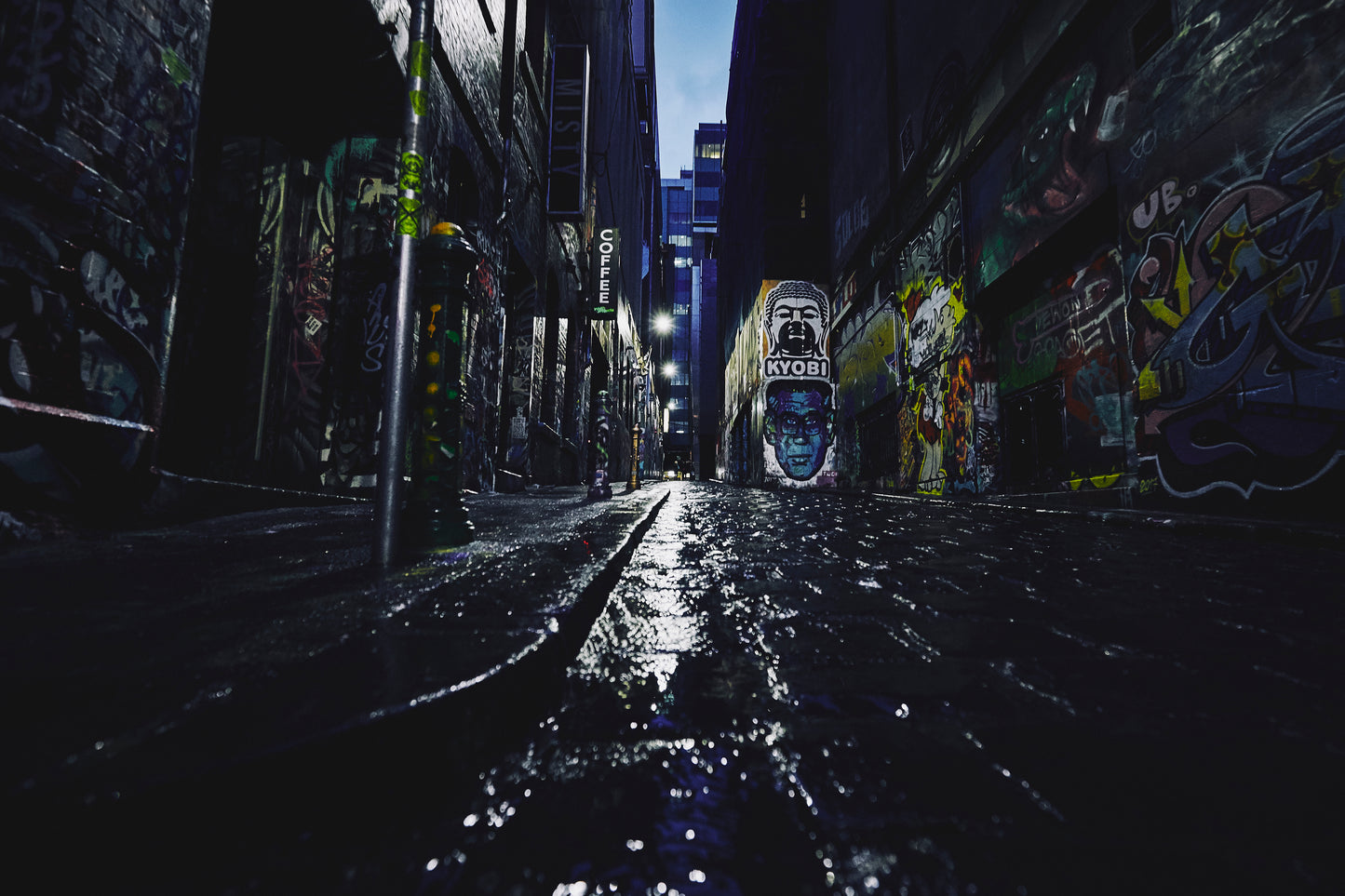 MELBOURNE LANEWAYS (IV)